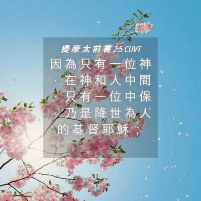Picture 04 - 提 摩 太 前 書 2:5 CUVT - 因 為 只 有 一 位 神 ， 在 神 和 人 - Bible Verse Picture