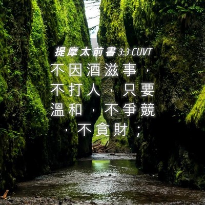 Picture 04 - 提 摩 太 前 書 3:3 CUVT - 不 因 酒 滋 事 ， 不 打 人 ， 只 要 - Bible Verse Picture
