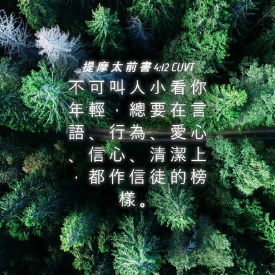 Picture 04 - 提 摩 太 前 書 4:12 CUVT - 不 可 叫 人 小 看 你 年 輕 ， 總 要 - Bible Verse Picture