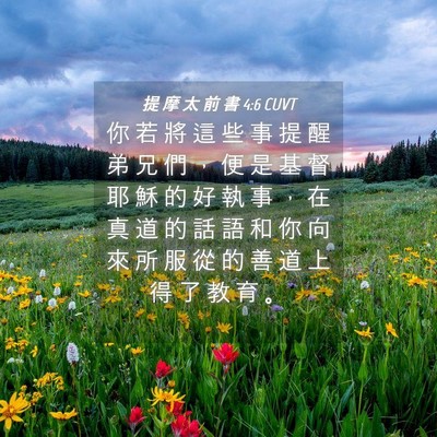 Picture 04 - 提 摩 太 前 書 4:6 CUVT - 你 若 將 這 些 事 提 醒 弟 兄 們 ， - Bible Verse Picture