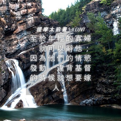 Picture 04 - 提 摩 太 前 書 5:11 CUVT - 至 於 年 輕 的 寡 婦 , 就 可 以 辭 - Bible Verse Picture