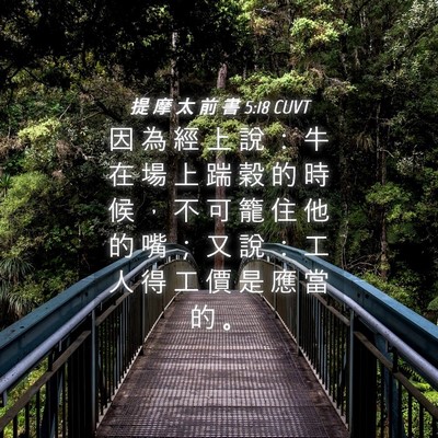 Picture 04 - 提 摩 太 前 書 5:18 CUVT - 因 為 經 上 說 ： 牛 在 場 上 踹 穀 - Bible Verse Picture