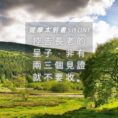 Picture 04 - 提 摩 太 前 書 5:19 CUVT - 控 告 長 老 的 呈 子 ， 非 有 兩 三 - Bible Verse Picture