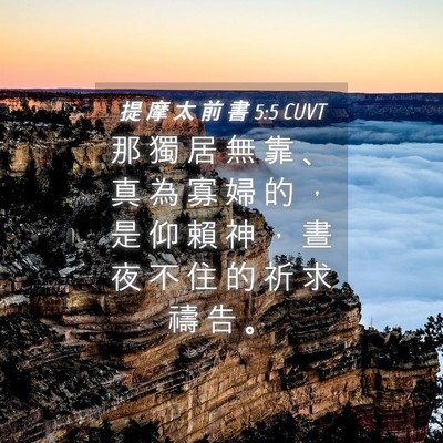 Picture 04 - 提 摩 太 前 書 5:5 CUVT - 那 獨 居 無 靠 、 真 為 寡 婦 的 ， - Bible Verse Picture