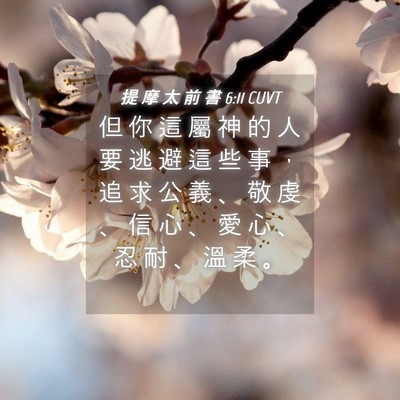 Picture 04 - 提 摩 太 前 書 6:11 CUVT - 但 你 這 屬 神 的 人 要 逃 避 這 些 - Bible Verse Picture
