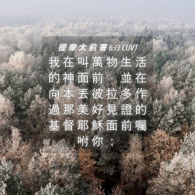 Picture 04 - 提 摩 太 前 書 6:13 CUVT - 我 在 叫 萬 物 生 活 的 神 面 前 ， - Bible Verse Picture