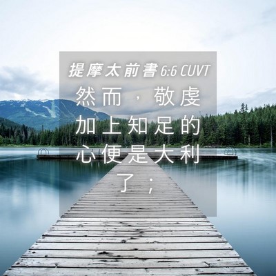 Picture 04 - 提 摩 太 前 書 6:6 CUVT - 然 而 ， 敬 虔 加 上 知 足 的 心 便 - Bible Verse Picture