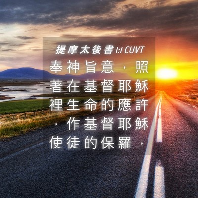 Picture 04 - 提 摩 太 後 書 1:1 CUVT - 奉 神 旨 意 ， 照 著 在 基 督 耶 穌 - Bible Verse Picture