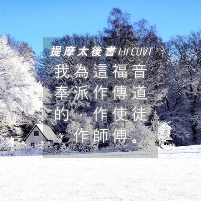 Picture 04 - 提 摩 太 後 書 1:11 CUVT - 我 為 這 福 音 奉 派 作 傳 道 的 ， - Bible Verse Picture