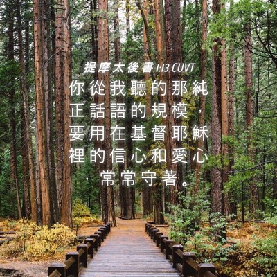 Picture 04 - 提 摩 太 後 書 1:13 CUVT - 你 從 我 聽 的 那 純 正 話 語 的 規 - Bible Verse Picture