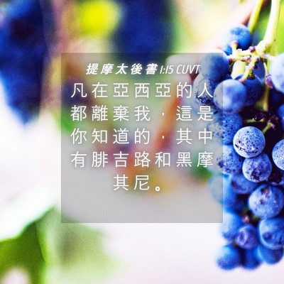 Picture 04 - 提 摩 太 後 書 1:15 CUVT - 凡 在 亞 西 亞 的 人 都 離 棄 我 ， - Bible Verse Picture