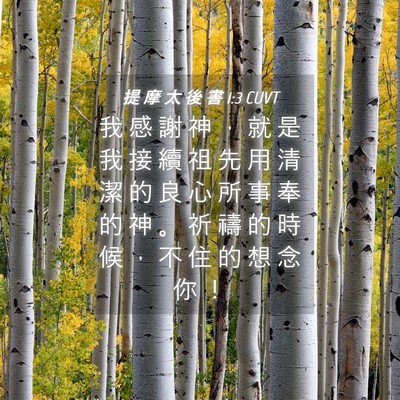 Picture 04 - 提 摩 太 後 書 1:3 CUVT - 我 感 謝 神 ， 就 是 我 接 續 祖 先 - Bible Verse Picture