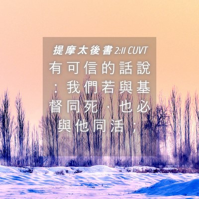 Picture 04 - 提 摩 太 後 書 2:11 CUVT - 有 可 信 的 話 說 ： 我 們 若 與 基 - Bible Verse Picture