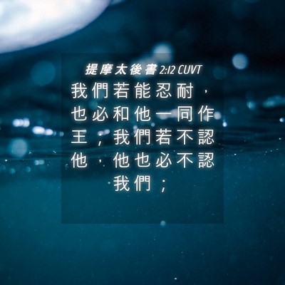 Picture 04 - 提 摩 太 後 書 2:12 CUVT - 我 們 若 能 忍 耐 ， 也 必 和 他 一 - Bible Verse Picture