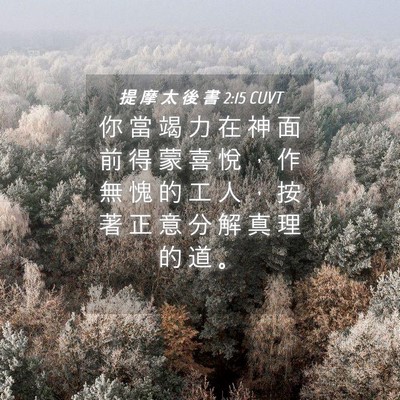 Picture 04 - 提 摩 太 後 書 2:15 CUVT - 你 當 竭 力 在 神 面 前 得 蒙 喜 悅 - Bible Verse Picture