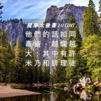 Picture 04 - 提 摩 太 後 書 2:17 CUVT - 他 們 的 話 如 同 毒 瘡 ， 越 爛 越 - Bible Verse Picture