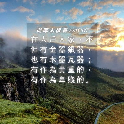 Picture 04 - 提 摩 太 後 書 2:20 CUVT - 在 大 戶 人 家 ， 不 但 有 金 器 銀 - Bible Verse Picture