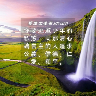 Picture 04 - 提 摩 太 後 書 2:22 CUVT - 你 要 逃 避 少 年 的 私 慾 ， 同 那 - Bible Verse Picture