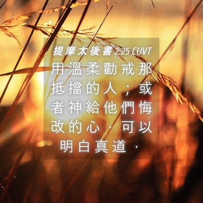 Picture 04 - 提 摩 太 後 書 2:25 CUVT - 用 溫 柔 勸 戒 那 抵 擋 的 人 ； 或 - Bible Verse Picture