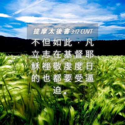 Picture 04 - 提 摩 太 後 書 3:12 CUVT - 不 但 如 此 ， 凡 立 志 在 基 督 耶 - Bible Verse Picture