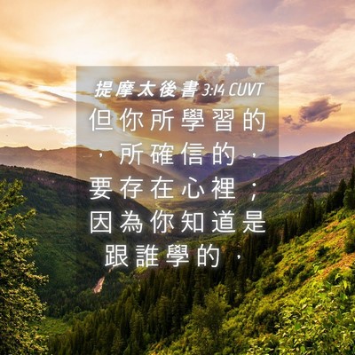 Picture 04 - 提 摩 太 後 書 3:14 CUVT - 但 你 所 學 習 的 ， 所 確 信 的 ， - Bible Verse Picture