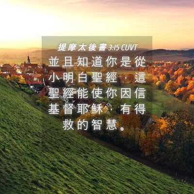Picture 04 - 提 摩 太 後 書 3:15 CUVT - 並 且 知 道 你 是 從 小 明 白 聖 經 - Bible Verse Picture