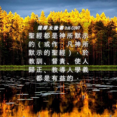 Picture 04 - 提 摩 太 後 書 3:16 CUVT - 聖 經 都 是 神 所 默 示 的 （ 或 作 - Bible Verse Picture