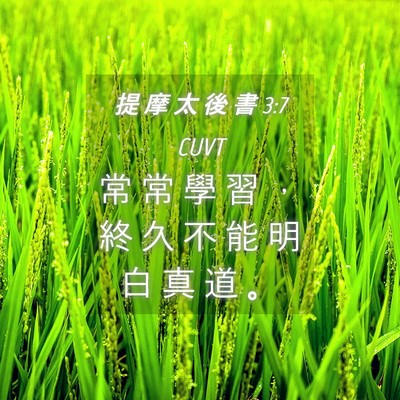 Picture 04 - 提 摩 太 後 書 3:7 CUVT - 常 常 學 習 ， 終 久 不 能 明 白 真 - Bible Verse Picture