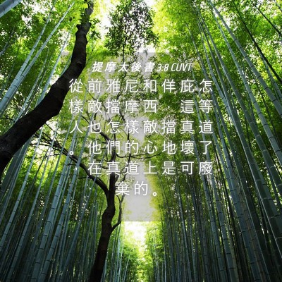 Picture 04 - 提 摩 太 後 書 3:8 CUVT - 從 前 雅 尼 和 佯 庇 怎 樣 敵 擋 摩 - Bible Verse Picture