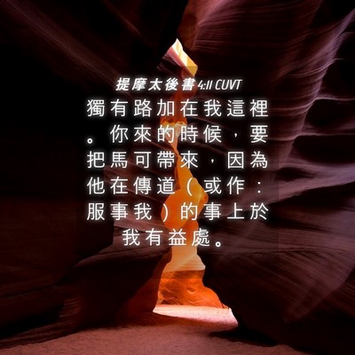 Picture 04 - 提 摩 太 後 書 4:11 CUVT - 獨 有 路 加 在 我 這 裡 。 你 來 的 - Bible Verse Picture