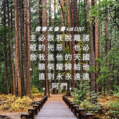 Picture 04 - 提 摩 太 後 書 4:18 CUVT - 主 必 救 我 脫 離 諸 般 的 兇 惡 ， - Bible Verse Picture