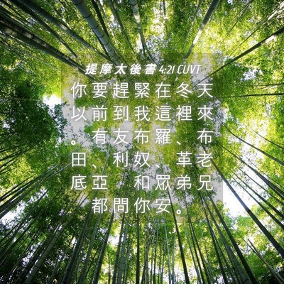 Picture 04 - 提 摩 太 後 書 4:21 CUVT - 你 要 趕 緊 在 冬 天 以 前 到 我 這 - Bible Verse Picture