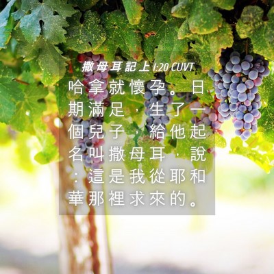 Picture 04 - 撒 母 耳 記 上 1:20 CUVT - 哈 拿 就 懷 孕 。 日 期 滿 足 ， 生 - Bible Verse Picture