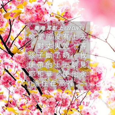 Picture 04 - 撒 母 耳 記 上 1:22 CUVT - 哈 拿 卻 沒 有 上 去 ， 對 丈 夫 說 - Bible Verse Picture