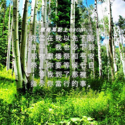 Picture 04 - 撒 母 耳 記 上 10:8 CUVT - 你 當 在 我 以 先 下 到 吉 甲 ， 我 - Bible Verse Picture