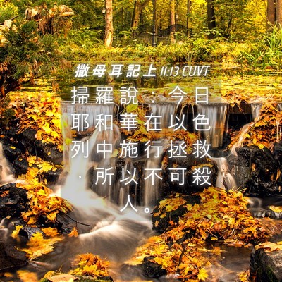 Picture 04 - 撒 母 耳 記 上 11:13 CUVT - 掃 羅 說 ： 今 日 耶 和 華 在 以 色 - Bible Verse Picture