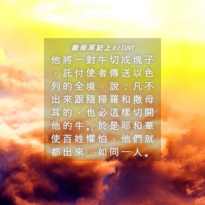 Picture 04 - 撒 母 耳 記 上 11:7 CUVT - 他 將 一 對 牛 切 成 塊 子 ， 託 付 - Bible Verse Picture