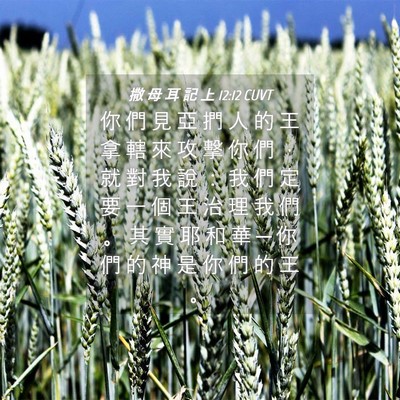 Picture 04 - 撒 母 耳 記 上 12:12 CUVT - 你 們 見 亞 捫 人 的 王 拿 轄 來 攻 - Bible Verse Picture