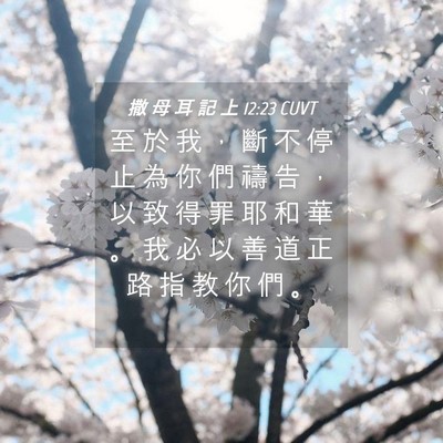 Picture 04 - 撒 母 耳 記 上 12:23 CUVT - 至 於 我 ， 斷 不 停 止 為 你 們 禱 - Bible Verse Picture