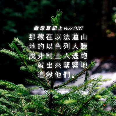 Picture 04 - 撒 母 耳 記 上 14:22 CUVT - 那 藏 在 以 法 蓮 山 地 的 以 色 列 - Bible Verse Picture