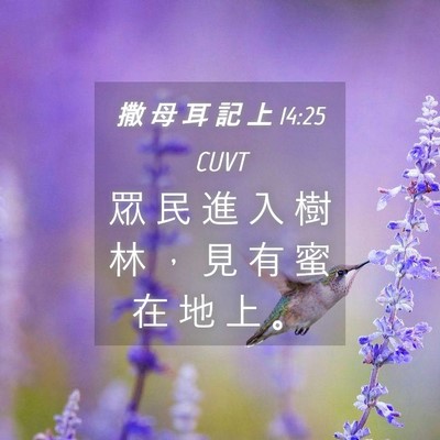 Picture 04 - 撒 母 耳 記 上 14:25 CUVT - 眾 民 進 入 樹 林 ， 見 有 蜜 在 地 - Bible Verse Picture