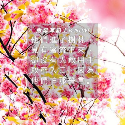 Picture 04 - 撒 母 耳 記 上 14:26 CUVT - 他 們 進 了 樹 林 ， 見 有 蜜 流 下 - Bible Verse Picture