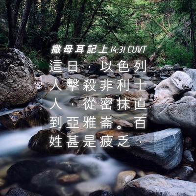 Picture 04 - 撒 母 耳 記 上 14:31 CUVT - 這 日 ， 以 色 列 人 擊 殺 非 利 士 - Bible Verse Picture