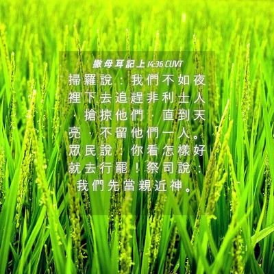 Picture 04 - 撒 母 耳 記 上 14:36 CUVT - 掃 羅 說 ： 我 們 不 如 夜 裡 下 去 - Bible Verse Picture