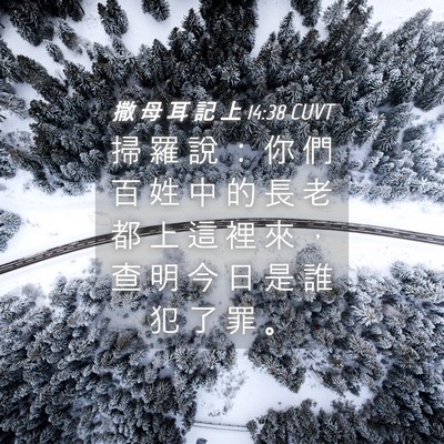 Picture 04 - 撒 母 耳 記 上 14:38 CUVT - 掃 羅 說 ： 你 們 百 姓 中 的 長 老 - Bible Verse Picture