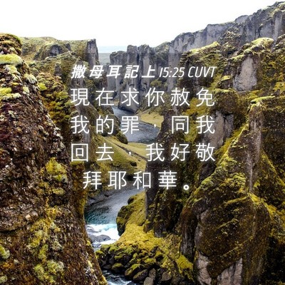 Picture 04 - 撒 母 耳 記 上 15:25 CUVT - 現 在 求 你 赦 免 我 的 罪 ， 同 我 - Bible Verse Picture