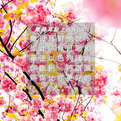 Picture 04 - 撒 母 耳 記 上 15:28 CUVT - 撒 母 耳 對 他 說 ： 如 此 ， 今 日 - Bible Verse Picture