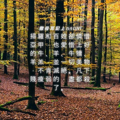 Picture 04 - 撒 母 耳 記 上 15:9 CUVT - 掃 羅 和 百 姓 卻 憐 惜 亞 甲 ， 也 - Bible Verse Picture