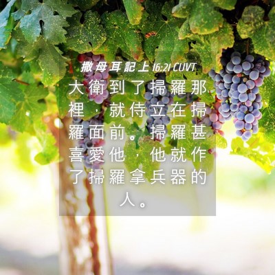 Picture 04 - 撒 母 耳 記 上 16:21 CUVT - 大 衛 到 了 掃 羅 那 裡 ， 就 侍 立 - Bible Verse Picture