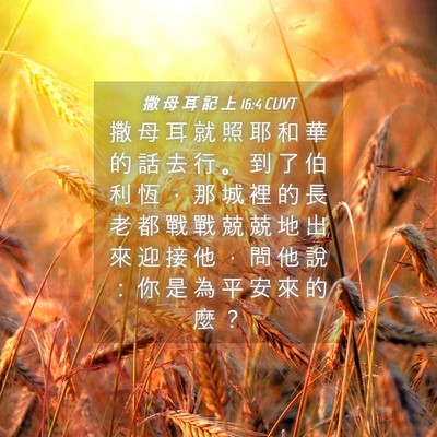 Picture 04 - 撒 母 耳 記 上 16:4 CUVT - 撒 母 耳 就 照 耶 和 華 的 話 去 行 - Bible Verse Picture